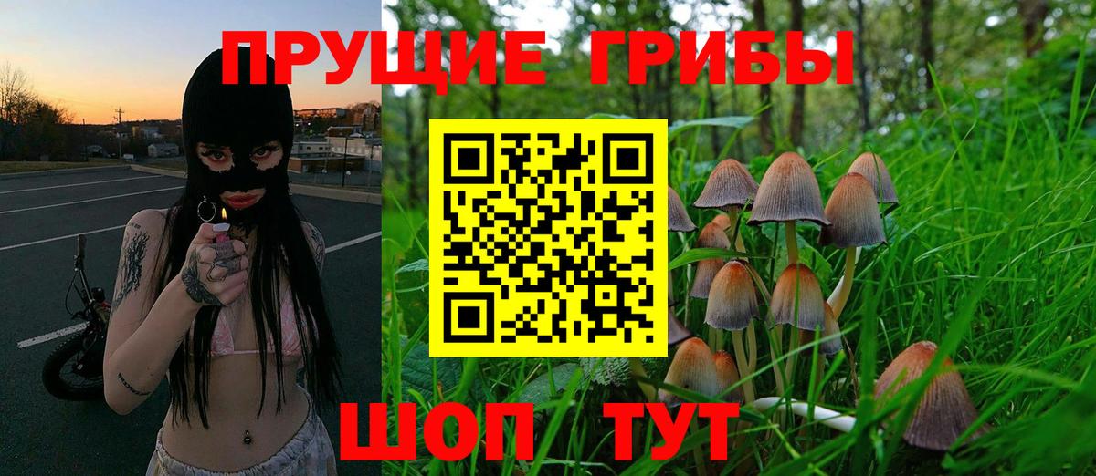 Новошахтинск  Псилоцибиновые грибы Cubensis  Псилоцибиновые грибы Psilocybine cubensis  Вход с VPN 