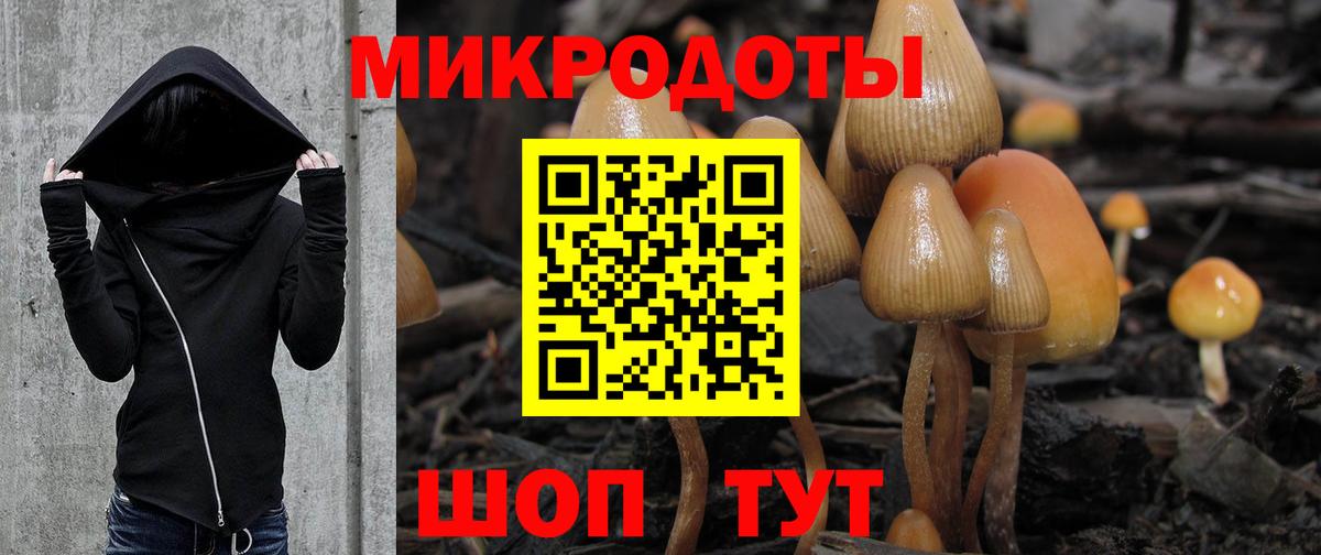 Галлюциногенные грибы мухоморы Новошахтинск